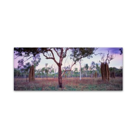 David Evans 'Termite Country-Kakadu' Canvas Art,10x32
